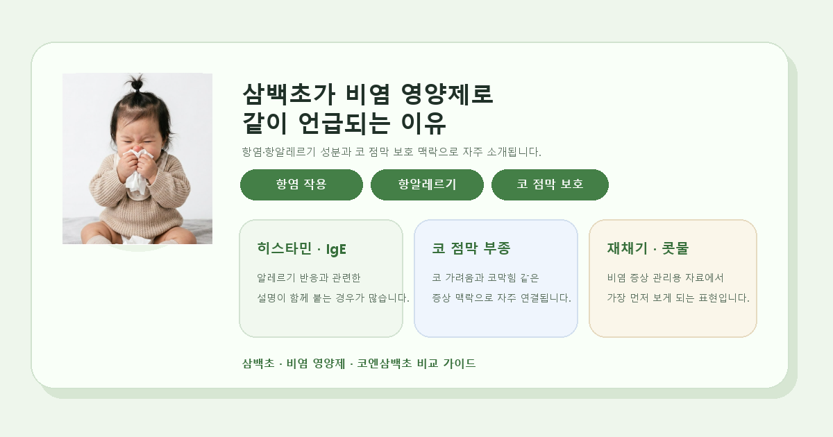 삼백초의 항염·항알레르기 성분과 코 점막 보호, 재채기·콧물·코막힘 관리 포인트를 정리한 이미지
